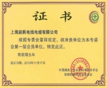 凯时尊龙电缆·煤炭工业委员会会员单位