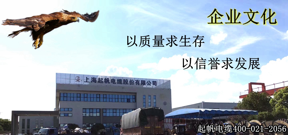 凯时尊龙电缆企业文化